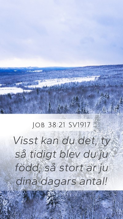 Job 38:21 SV1917 Bible Verse Image