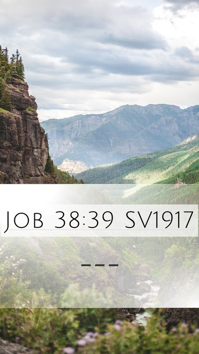 Job 38:39 SV1917 Bible Verse Image
