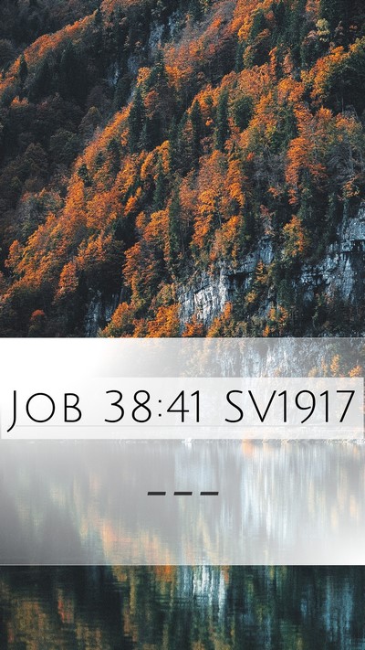 Job 38:41 SV1917 Bible Verse Image