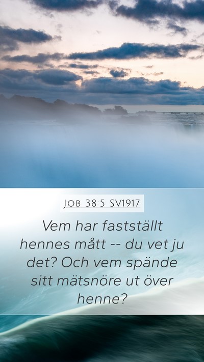 Job 38:5 SV1917 Bible Verse Image
