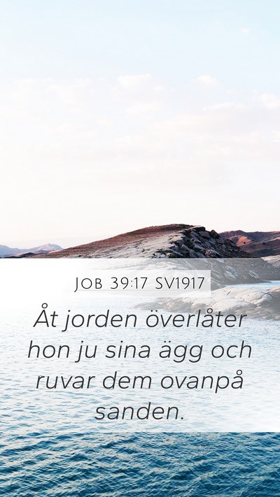 Job 39:17 SV1917 Bible Verse Image