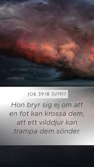 Job 39:18 SV1917 Bible Verse Image