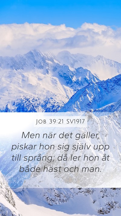 Job 39:21 SV1917 Bible Verse Image