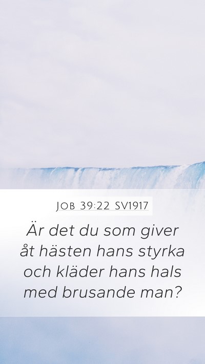Job 39:22 SV1917 Bible Verse Image