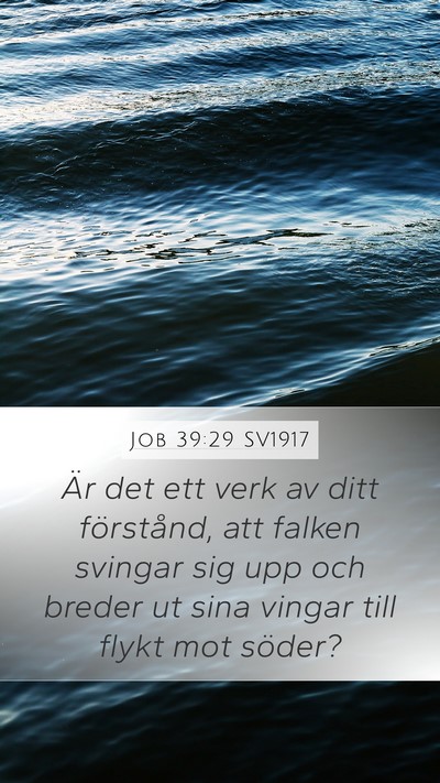 Job 39:29 SV1917 Bible Verse Image