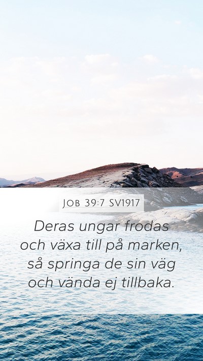 Job 39:7 SV1917 Bible Verse Image