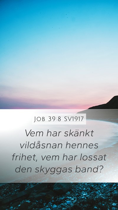 Job 39:8 SV1917 Bible Verse Image