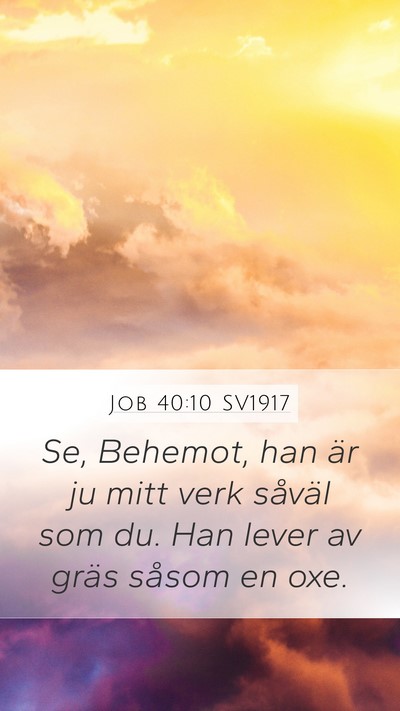 Job 40:10 SV1917 Bible Verse Image