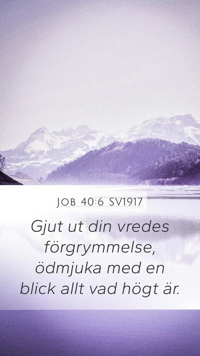 Job 40:6 SV1917 Bible Verse Image