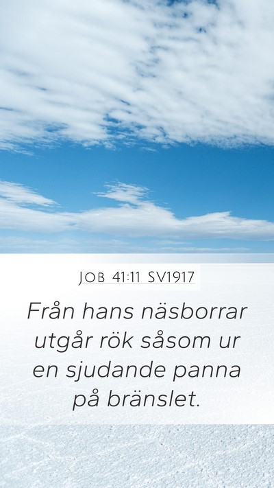 Job 41:11 SV1917 Bible Verse Image