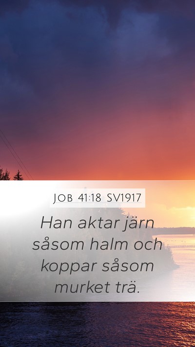 Job 41:18 SV1917 Bible Verse Image