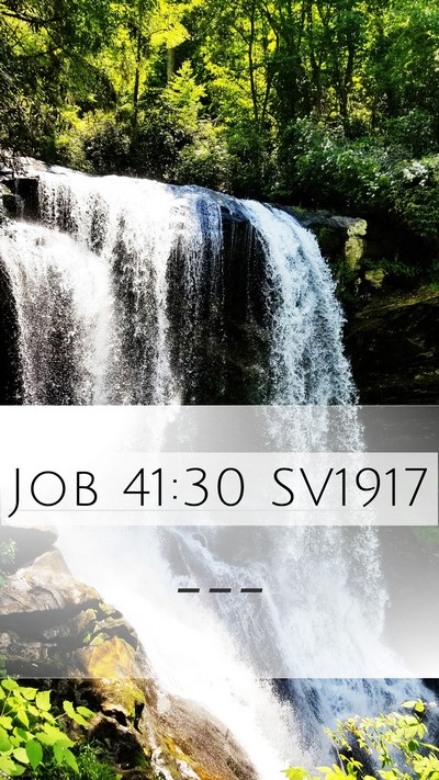 Job 41:30 SV1917 Mobile Phone Wallpaper -  - Mobile Bible Verse Wallpaper