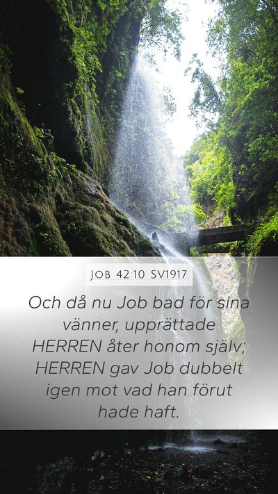 Job 42:10 SV1917 Bible Verse Image