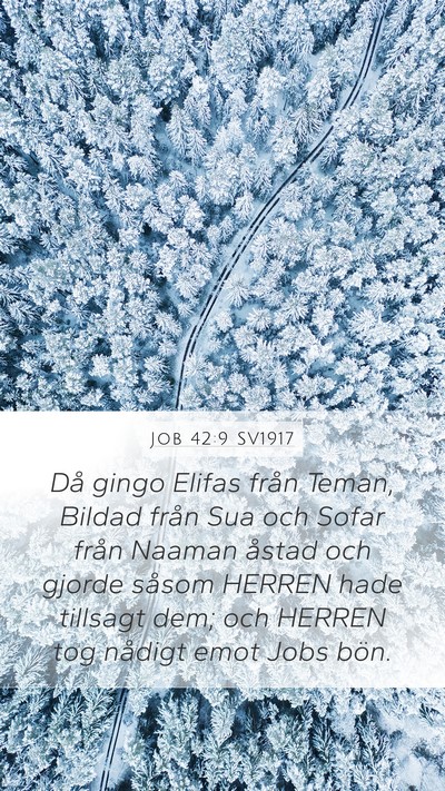 Job 42:9 SV1917 Bible Verse Image