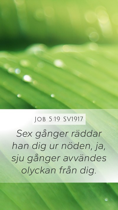 Job 5:19 SV1917 Bible Verse Image