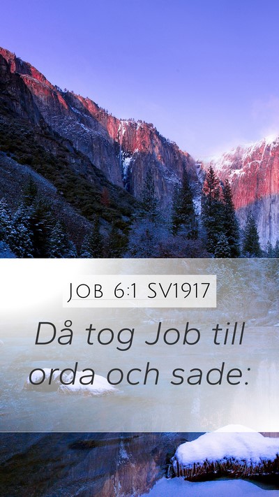 Job 6:1 SV1917 Bible Verse Image
