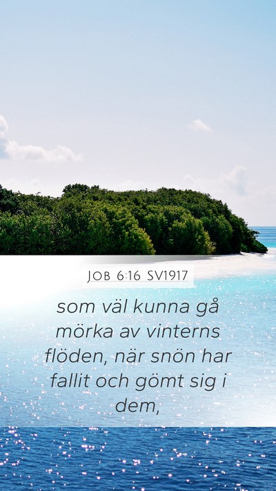 Job 6:16 SV1917 Bible Verse Image