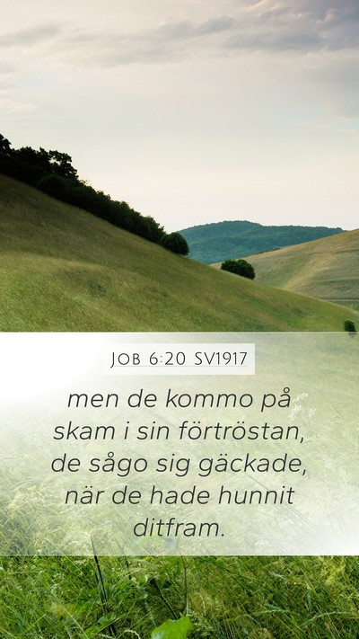 Job 6:20 SV1917 Bible Verse Image