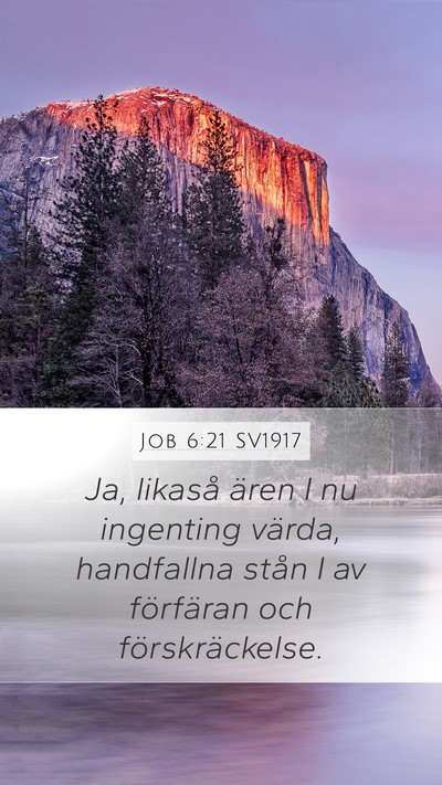 Job 6:21 SV1917 Bible Verse Image