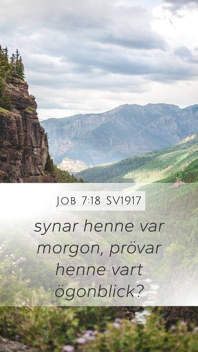 Job 7:18 SV1917 Bible Verse Image