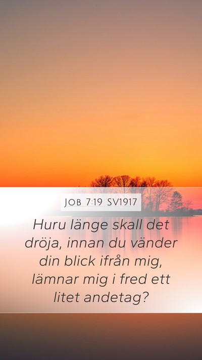 Job 7:19 SV1917 Bible Verse Image