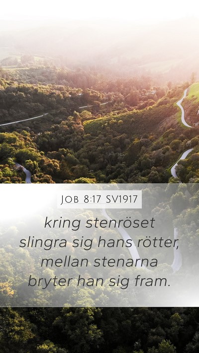 Job 8:17 SV1917 Mobile Phone Wallpaper - kring stenröset slingra sig hans rötter, mellan - Mobile Bible Verse Wallpaper
