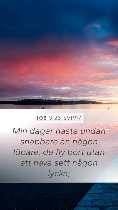 Job 9:25 SV1917 Bible Verse Image
