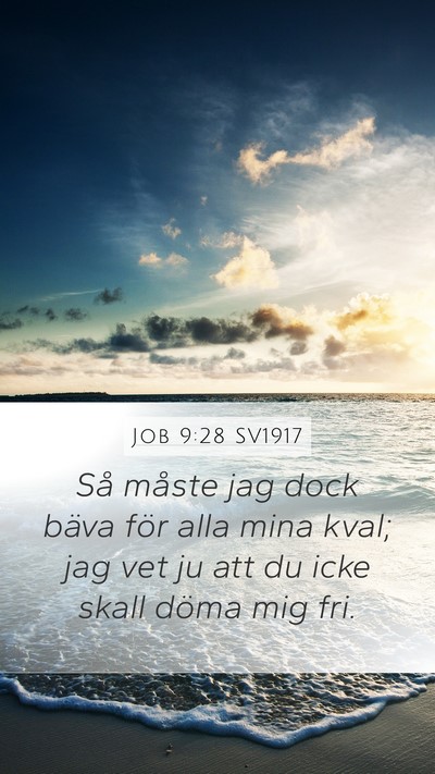 Job 9:28 SV1917 Bible Verse Image