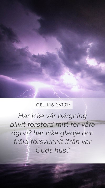 Joel 1:16 SV1917 Bible Verse Image
