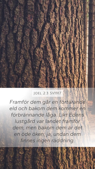 Joel 2:3 SV1917 Bible Verse Image