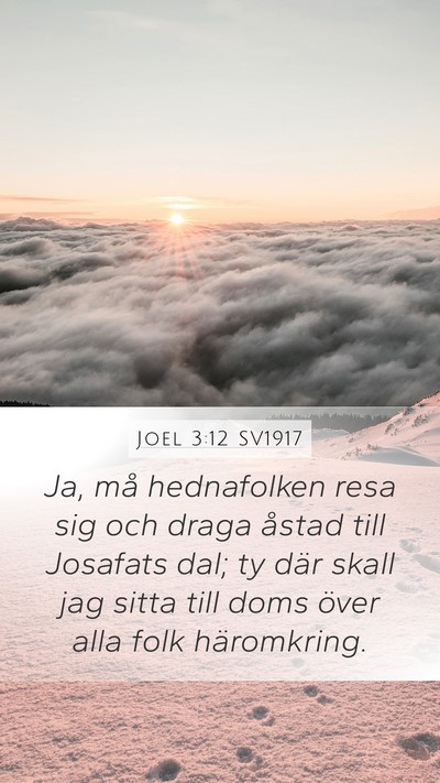 Joel 3:12 SV1917 Bible Verse Image