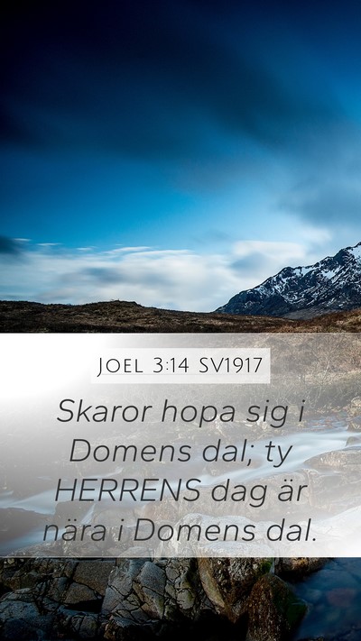 Joel 3:14 SV1917 Bible Verse Image
