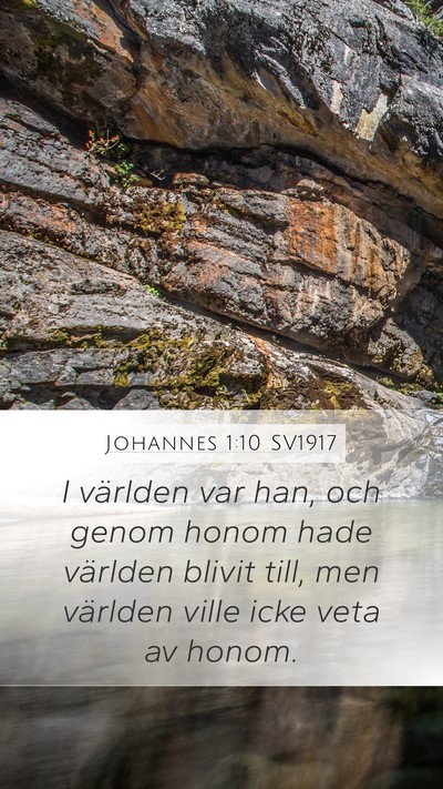 Johannes 1:10 SV1917 Bible Verse Image