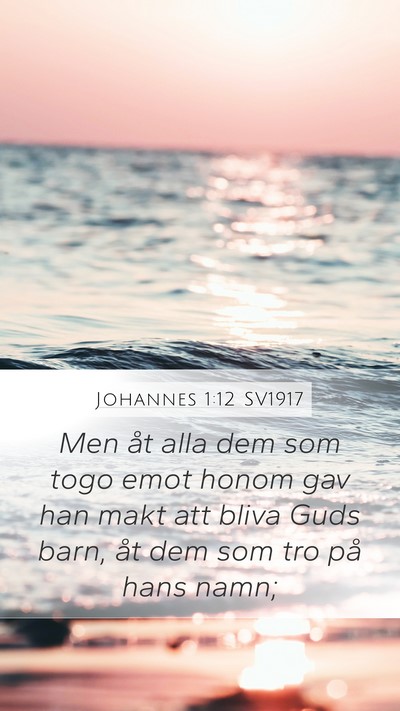 Johannes 1:12 SV1917 Bible Verse Image