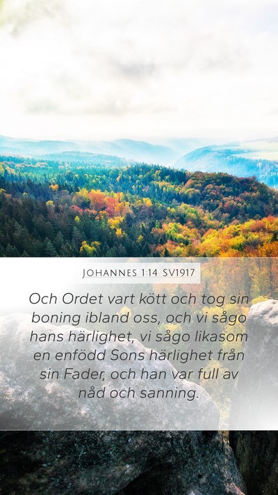 Johannes 1:14 SV1917 Bible Verse Image