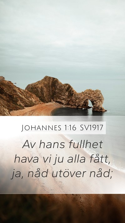 Johannes 1:16 SV1917 Bible Verse Image