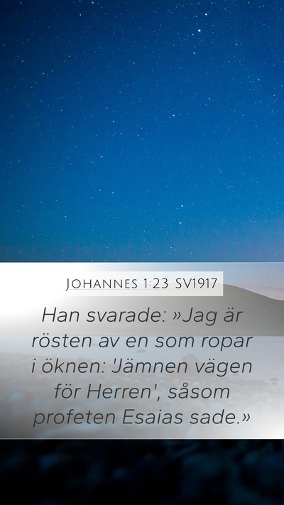 Johannes 1:23 SV1917 Bible Verse Image