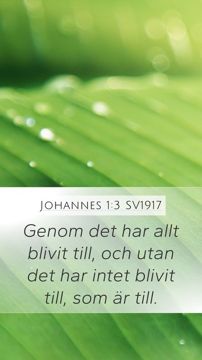 Johannes 1:3 SV1917 Bible Verse Image