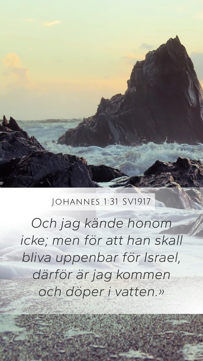 Johannes 1:31 SV1917 Bible Verse Image