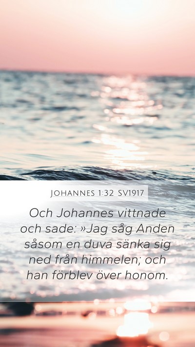 Johannes 1:32 SV1917 Bible Verse Image
