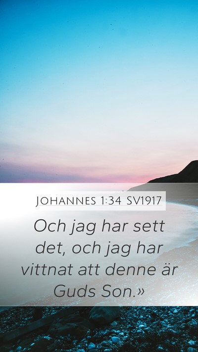 Johannes 1:34 SV1917 Bible Verse Image