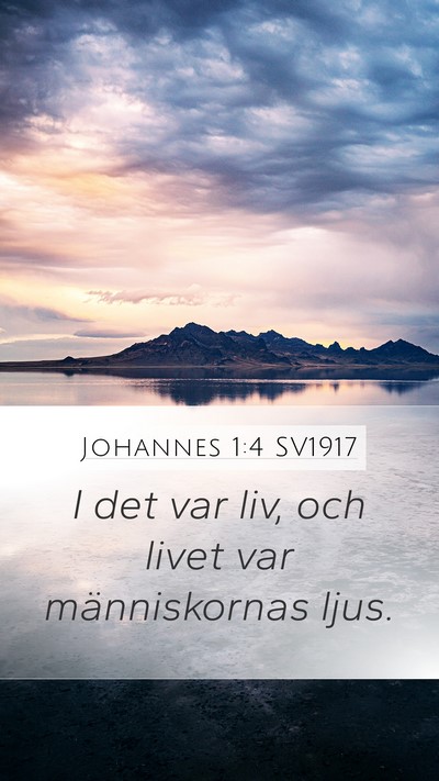 Johannes 1:4 SV1917 Bible Verse Image