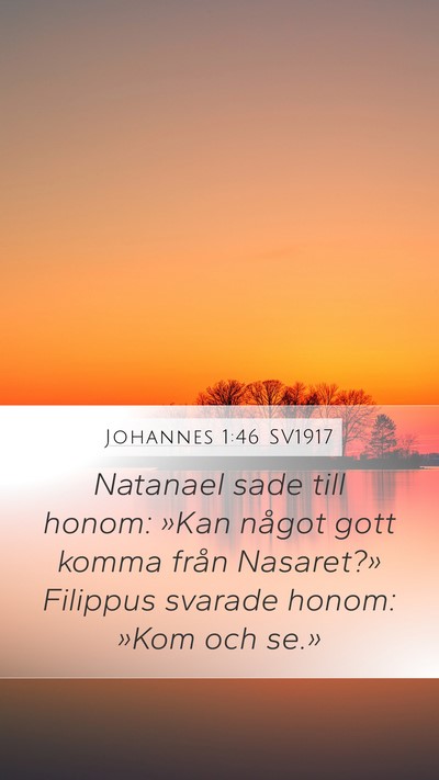 Johannes 1:46 SV1917 Bible Verse Image