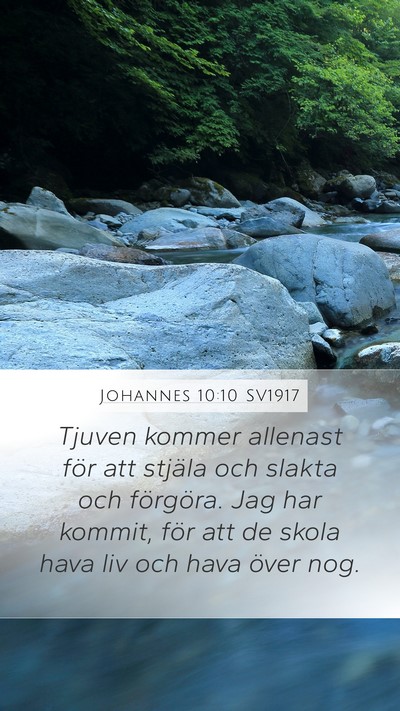 Johannes 10:10 SV1917 Bible Verse Image