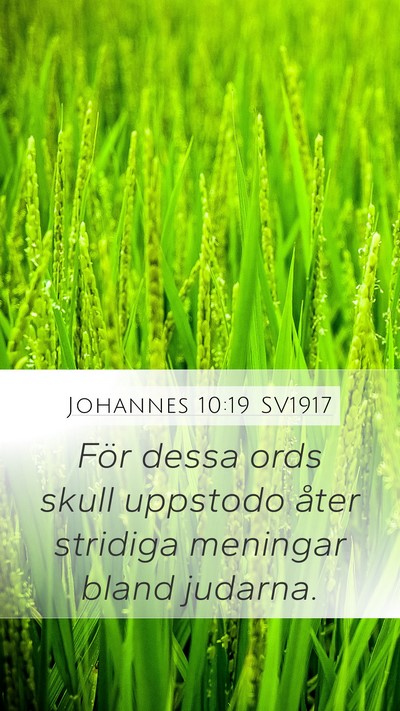 Johannes 10:19 SV1917 Bible Verse Image