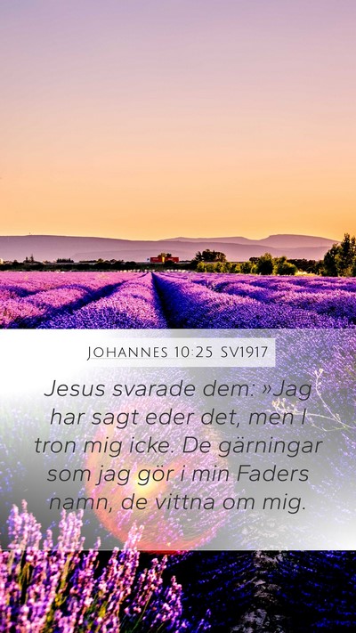 Johannes 10:25 SV1917 Bible Verse Image