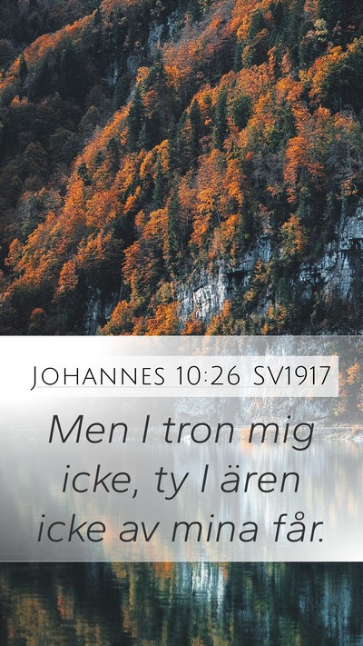 Johannes 10:26 SV1917 Bible Verse Image