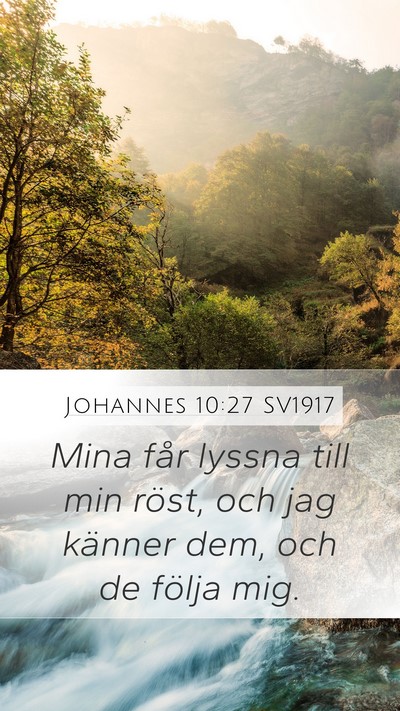 Johannes 10:27 SV1917 Bible Verse Image