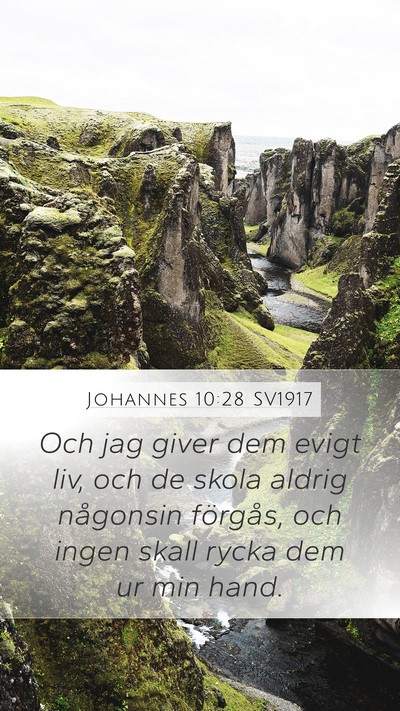 Johannes 10:28 SV1917 Bible Verse Image