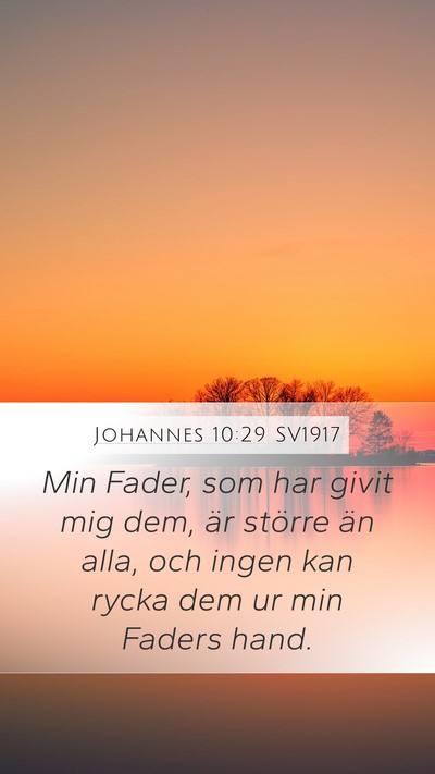 Johannes 10:29 SV1917 Bible Verse Image